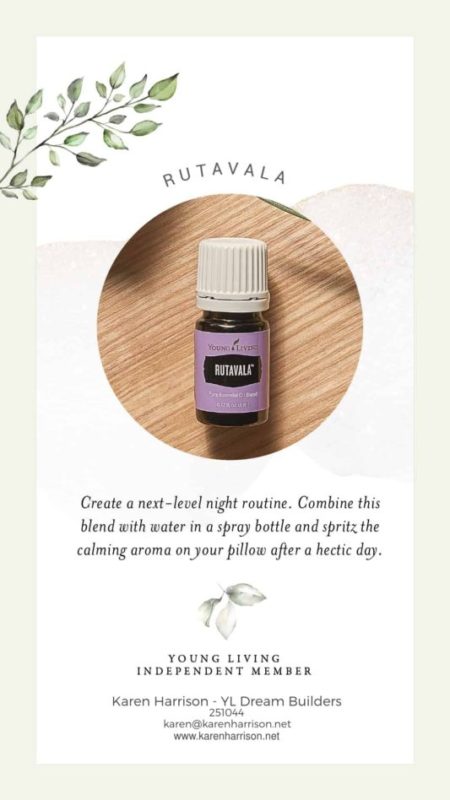 Students of essential oil classes at Whole Life Center will gain knowledge of how to safely and effectively utilize essential oils for healing and wellness.